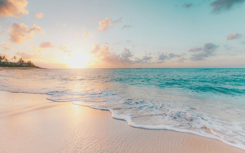Tide Schedules & Salt Spray: A Solitary Week on the Atlantic Shore